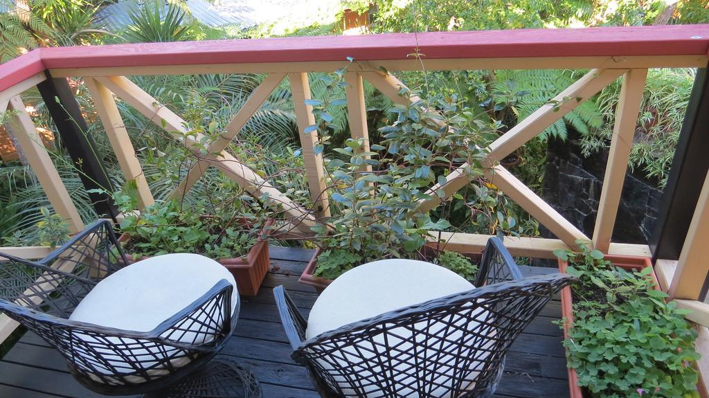 Sandals Guest House Byron Bay Chambre photo